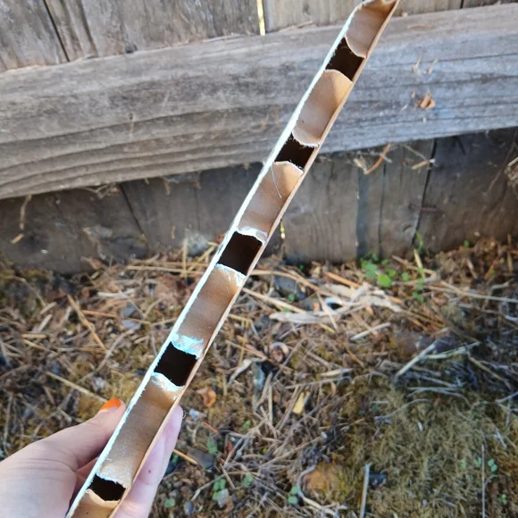 Puffin Painting On Cardboard - Picture 6 of 12